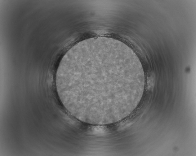 X0000116430618201001191512