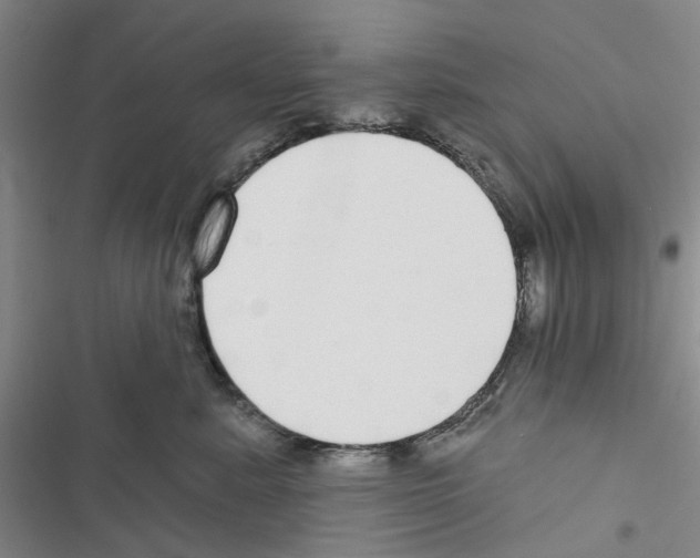 X0000116430619201001191512