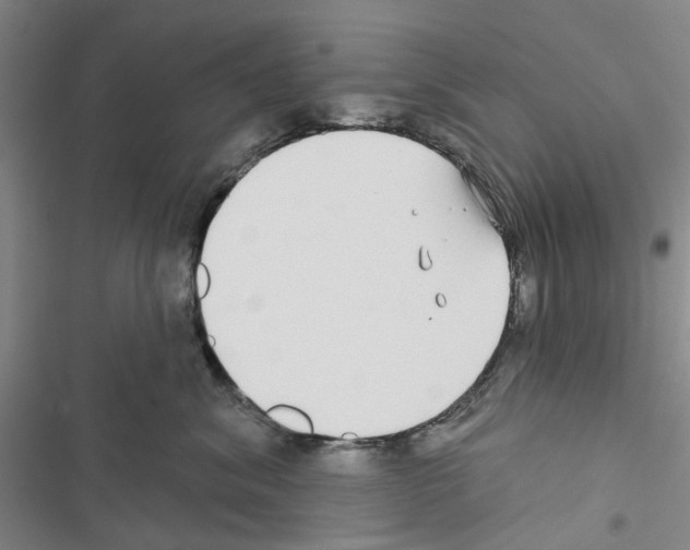 X0000116430620201001191512