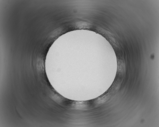 X0000116430622201001191512