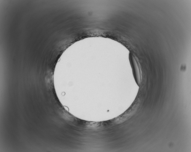 X0000116430624201001191512