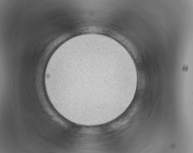 X0000116430625201001191511