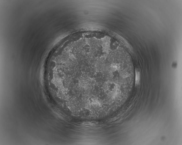 X0000116430627201001191511