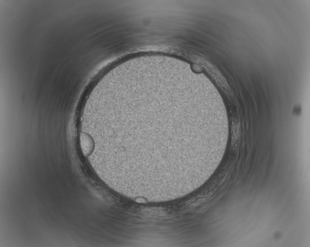 X0000116430628201001191511