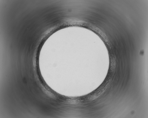 X0000116430629201001191511