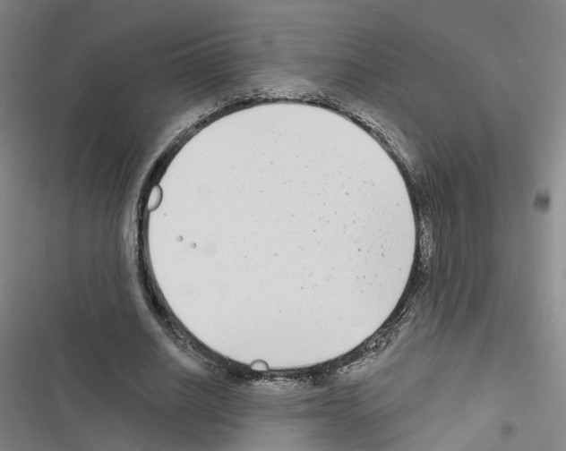 X0000116430630201001191511