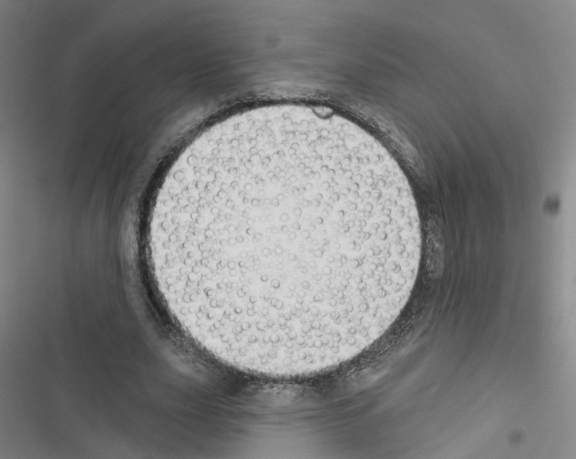 X0000116430631201001191511