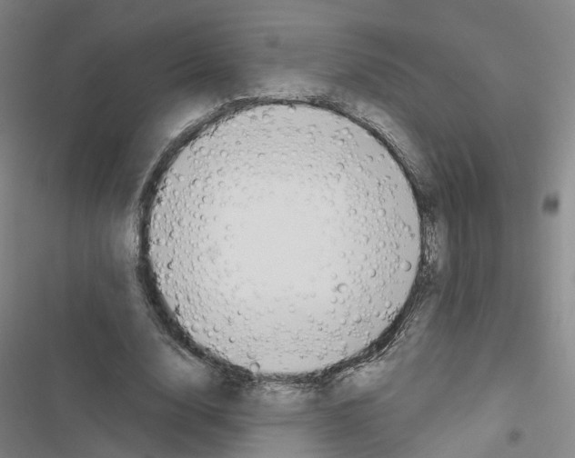 X0000116430632201001191511
