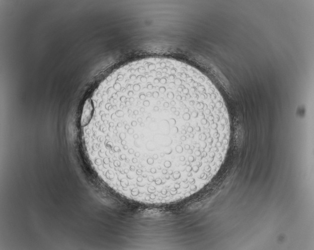 X0000116430635201001191511