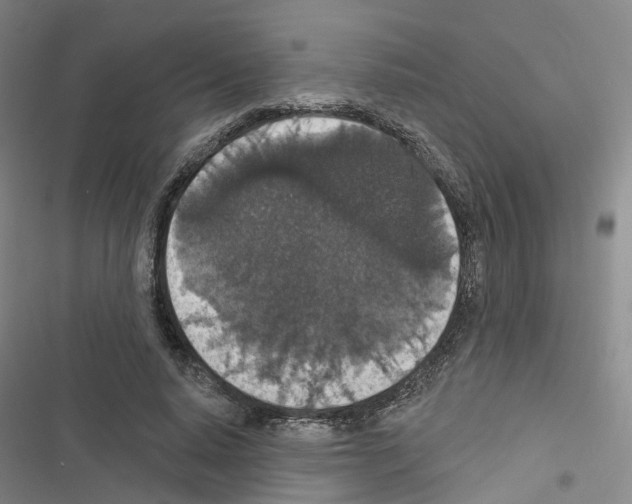 X0000116430640201001191512