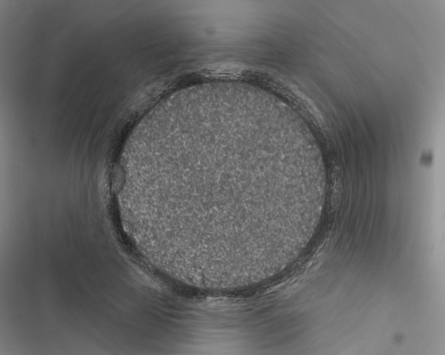 X0000116430641201001191512