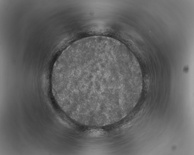 X0000116430642201001191512