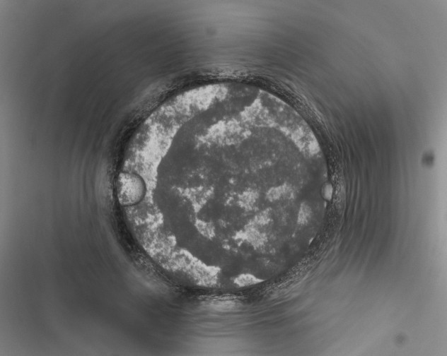 X0000116430643201001191512
