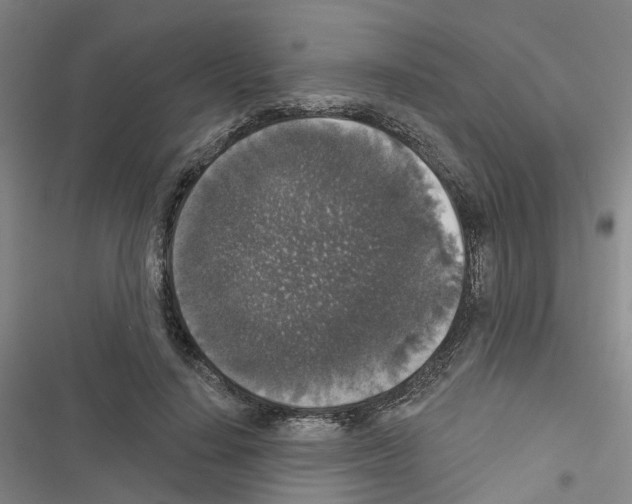 X0000116430644201001191512