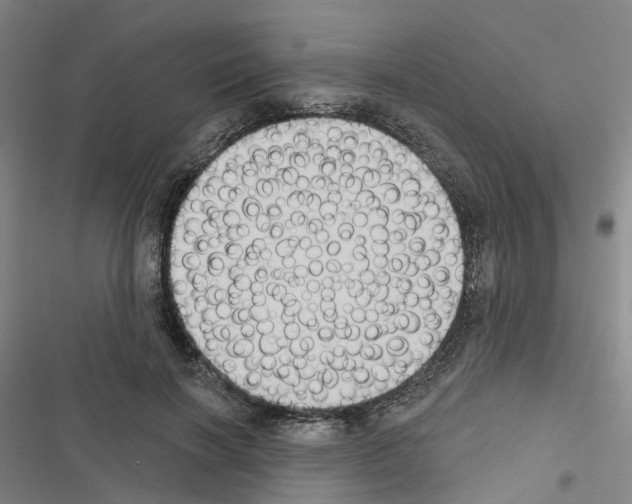 X0000116430646201001191512