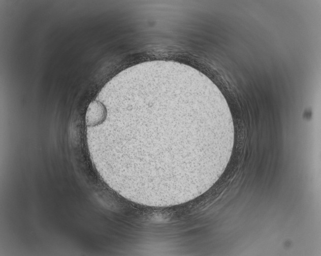 X0000116430647201001191512