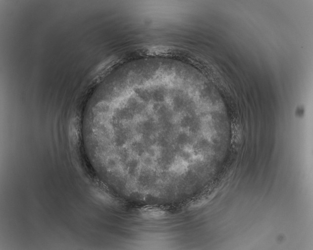X0000116430648201001191512