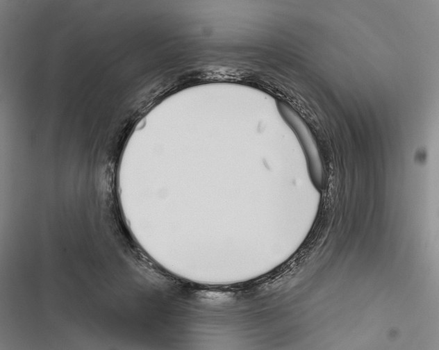 X0000116430649201001191512