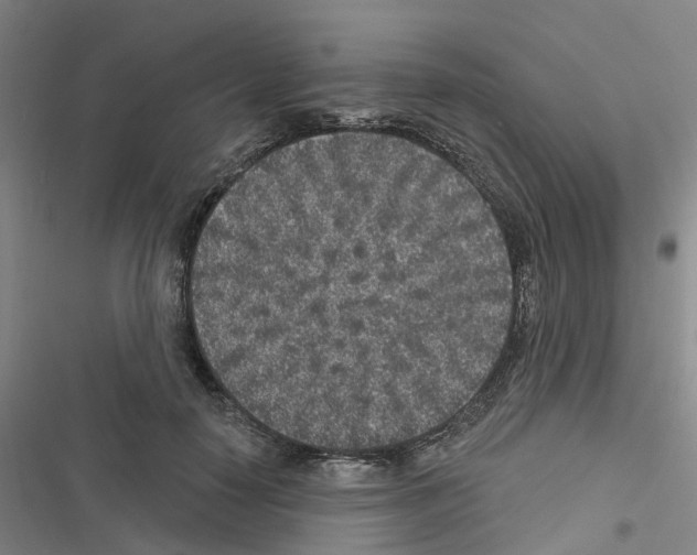 X0000116430650201001191512