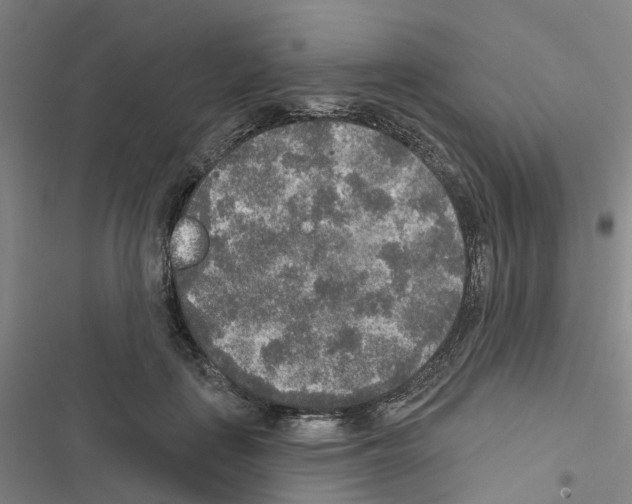 X0000116430651201001191512
