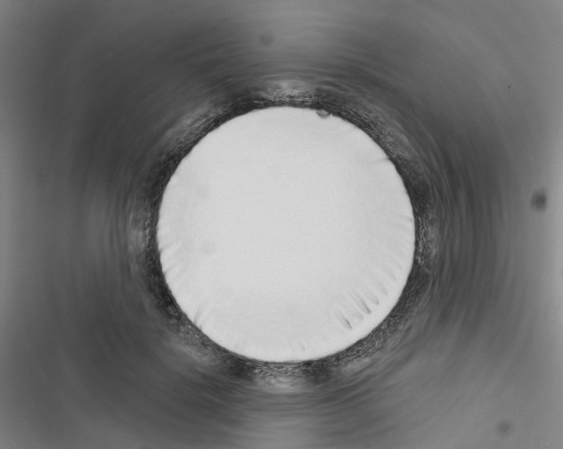 X0000116430652201001191512
