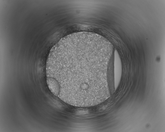 X0000116430653201001191512