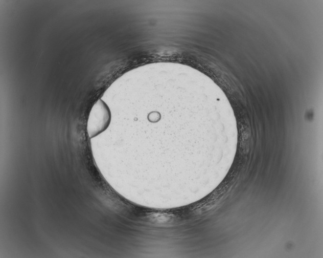 X0000116430654201001191512