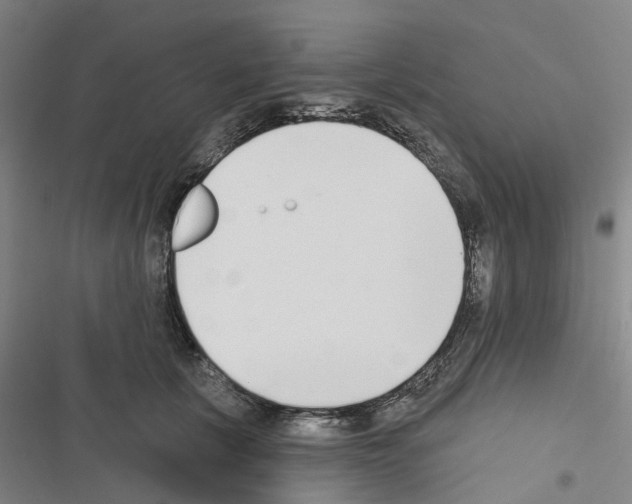 X0000116430657201001191512