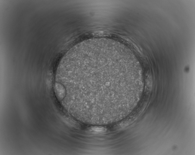 X0000116430659201001191512