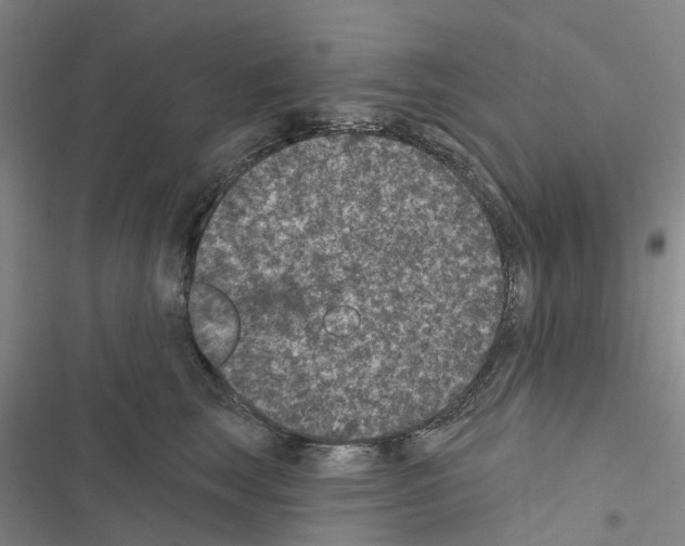 X0000116430663201001191512