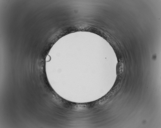 X0000116430664201001191512