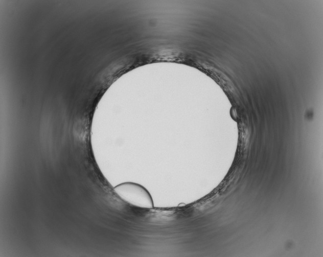 X0000116430665201001191512