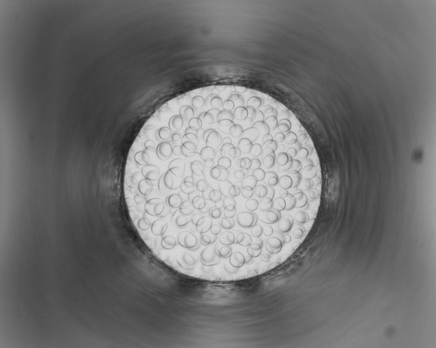X0000116430666201001191512