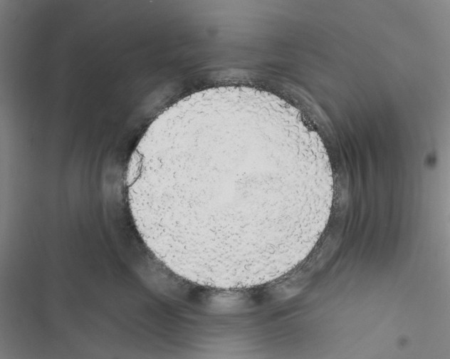 X0000116430669201001191512