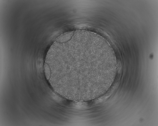 X0000116430670201001191512