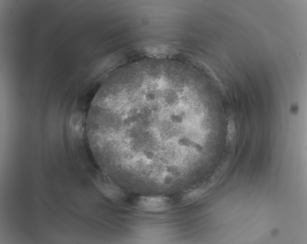 X0000116430671201001191512
