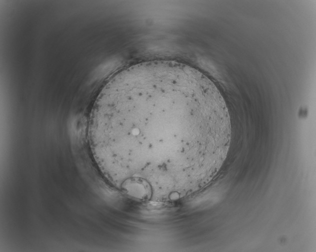X0000116430672201001191512