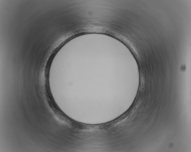 X0000116430674201001191511