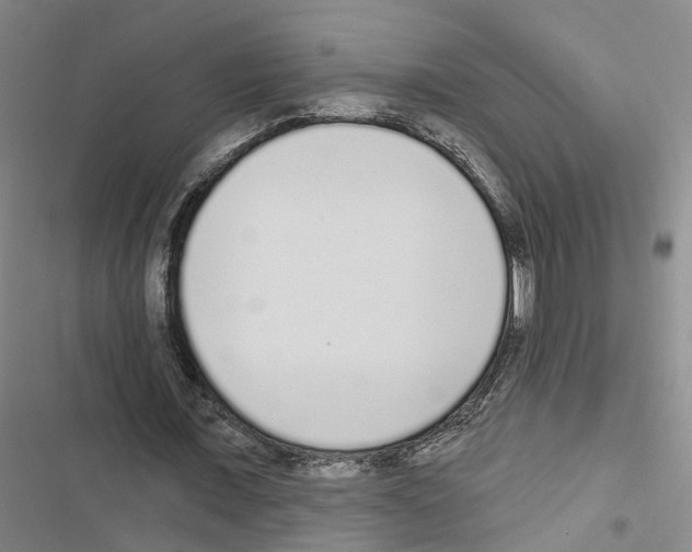 X0000116430675201001191511