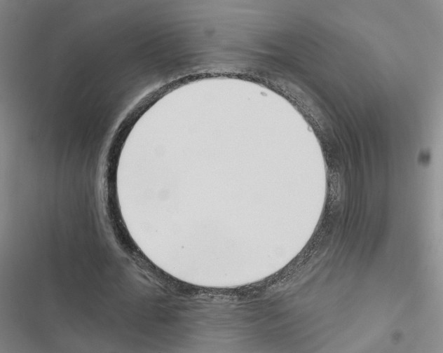 X0000116430676201001191511