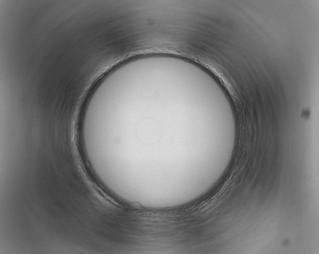 X0000116430677201001191511