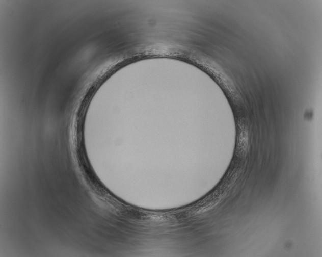 X0000116430678201001191511