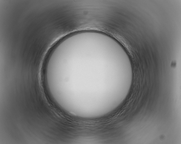 X0000116430680201001191511