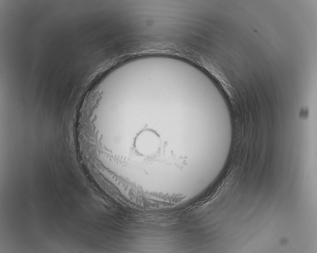 X0000116430681201001191511
