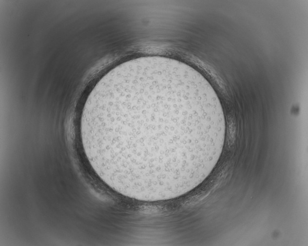 X0000116430682201001191511