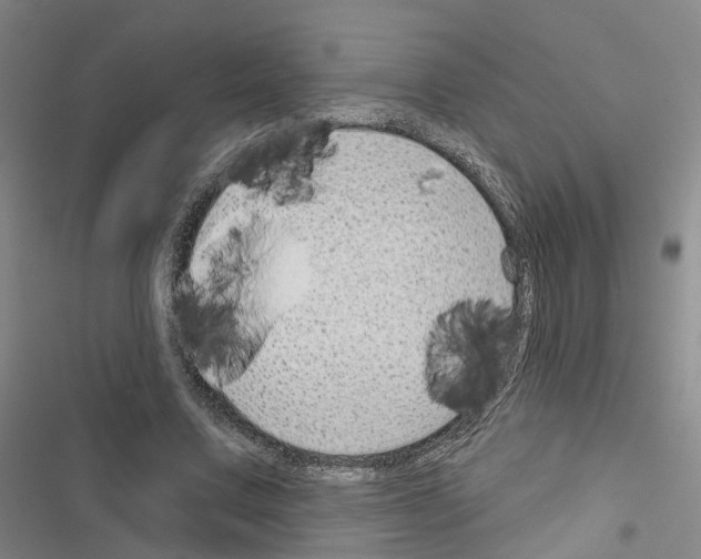 X0000116430683201001191511