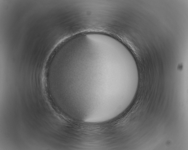 X0000116430684201001191511