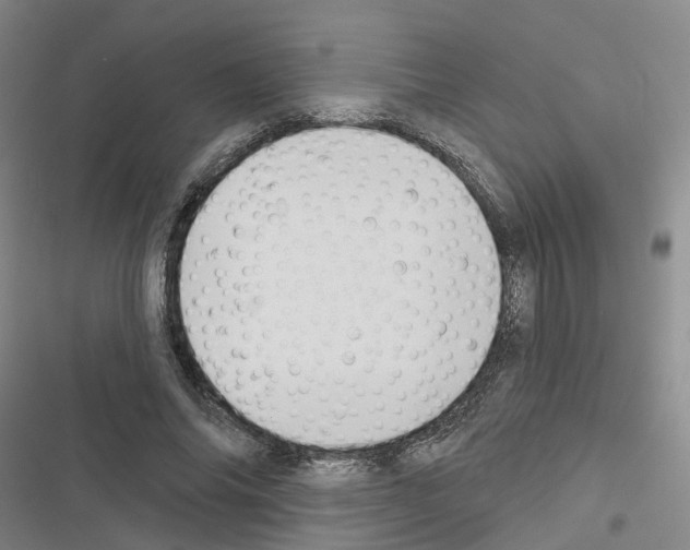 X0000116430686201001191511