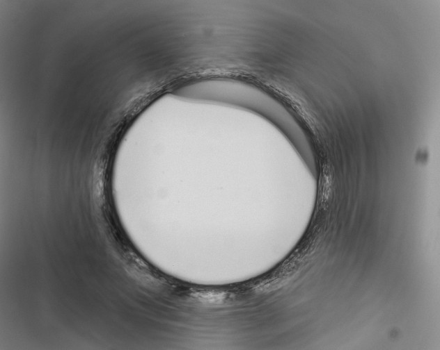 X0000116430687201001191511