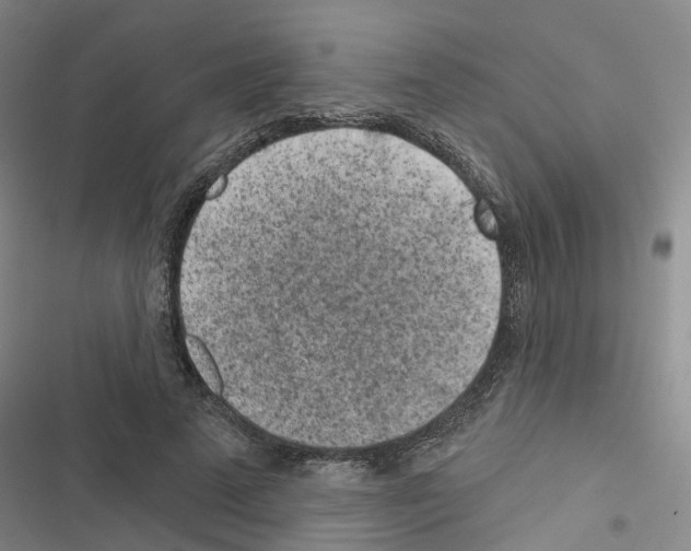 X0000116430689201001191511